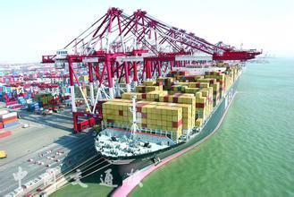 茂名至莆田內貿船運集裝箱專線 廣州睿航貨運代理助力國內貿易